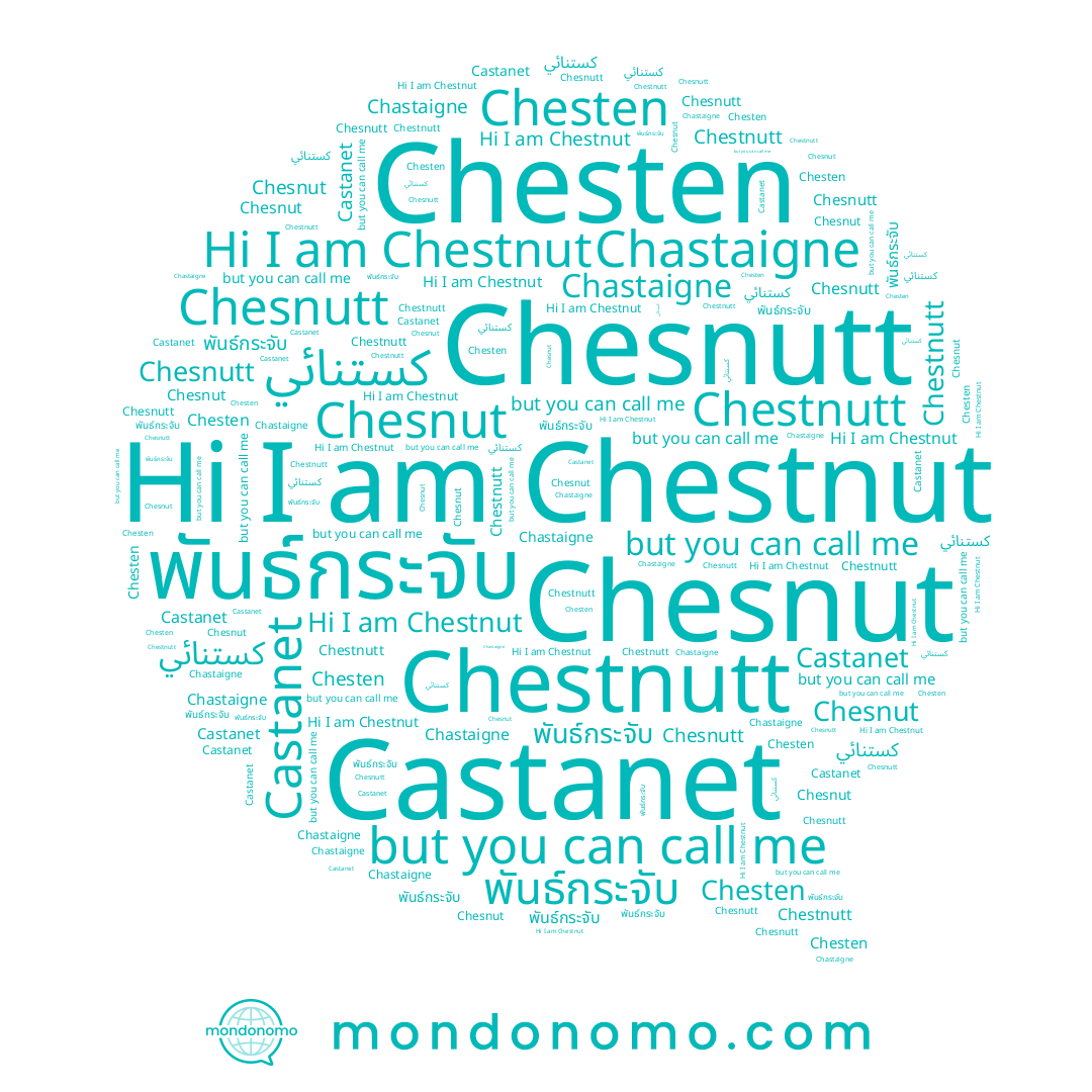name Chesnut, name Chesnutt, name Chestnut, name Chesten, name พันธ์กระจับ, name Castanet, name Chastaigne, name Chestnutt