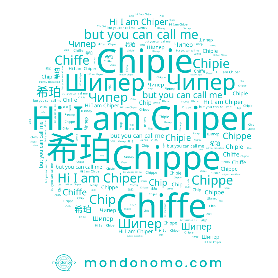 name Чипер, name Chipie, name Chiper, name Chiffe, name Шипер, name Chippe, name Chip, name 希珀