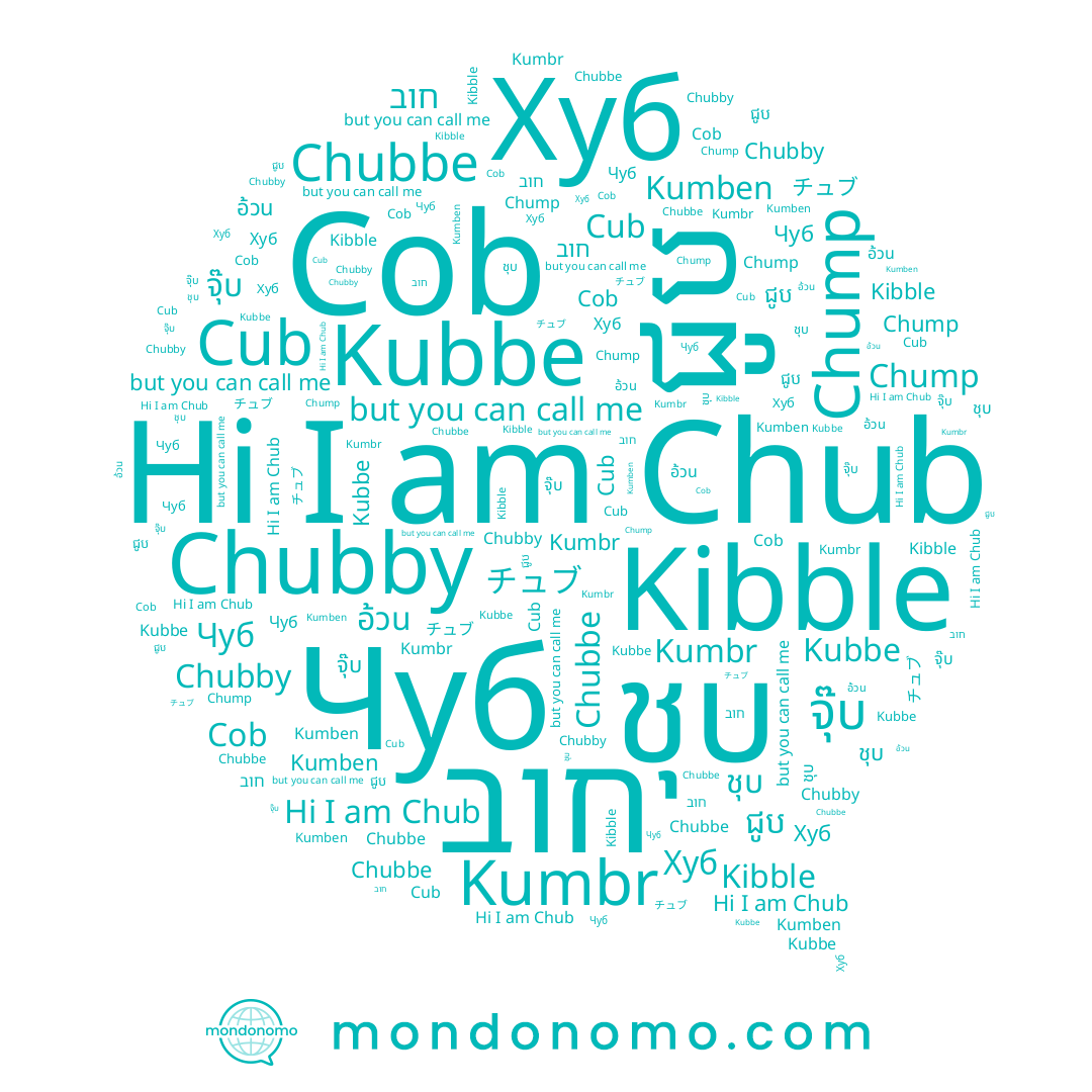 name Чуб, name ជូប, name チュブ, name Chub, name จุ๊บ, name ชุบ, name Kubbe, name Kumben, name Chubby, name Kumbr, name Chump, name Kibble, name Chubbe, name Cob
