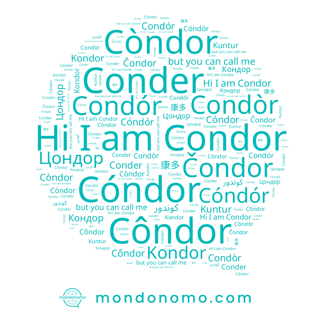 name Côndor, name Condòr, name Cóndór, name Цондор, name Кондор, name Čondor, name Conder, name Kondor, name Kuntur, name 康多, name Condor, name Cóndor, name Condór, name Còndor