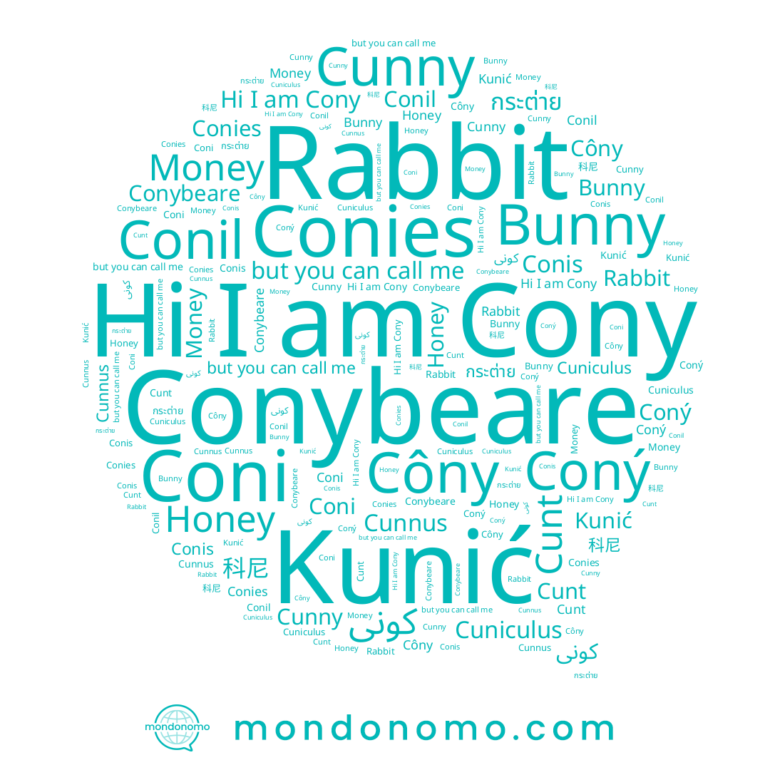 name Cunnus, name Coný, name Bunny, name Rabbit, name Conies, name Conis, name Cony, name Conil, name Cunt, name Côny, name Kunić, name Coni, name Money, name Conybeare, name Honey, name Cunny