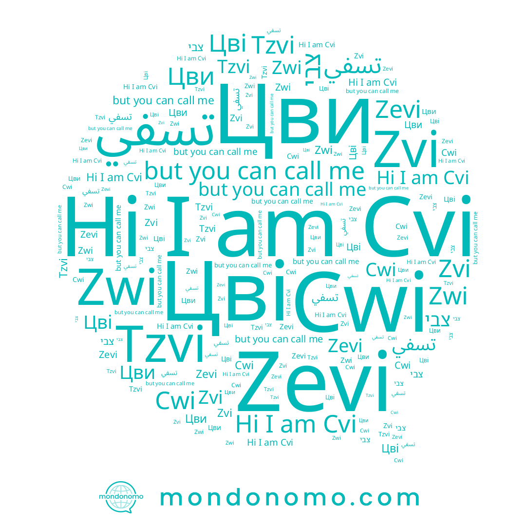 name Цви, name Cvi, name تسفي, name Zvi, name Цві, name צבי, name Zwi, name Tzvi, name Zevi