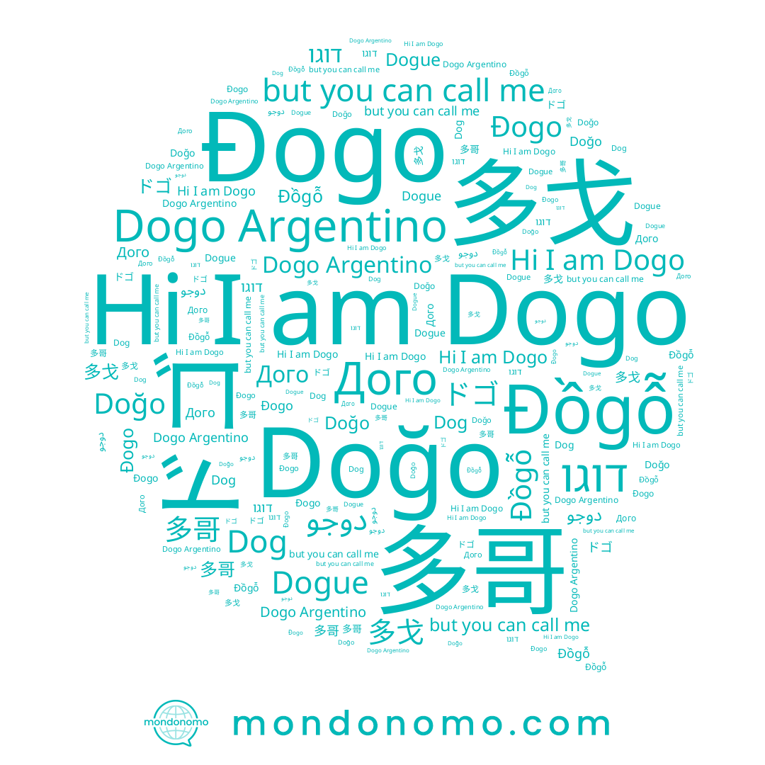 name Đogo, name 多戈, name Dogo Argentino, name דוגו, name Дого, name ドゴ, name Dogue, name Đồgỗ, name Dogo, name Doğo, name 多哥