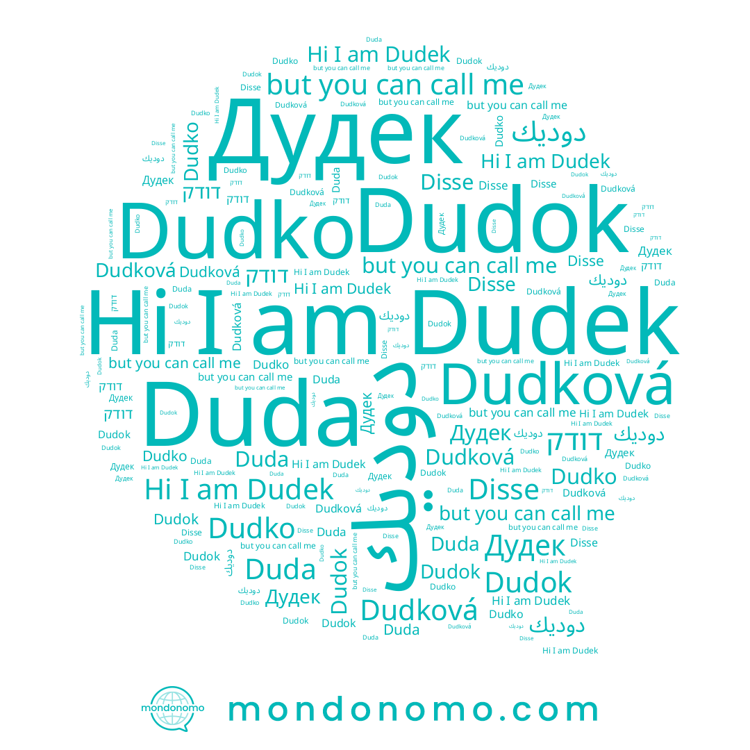name Dudko, name Dudok, name Dudková, name Дудек, name Duda, name דודק, name Disse, name Dudek