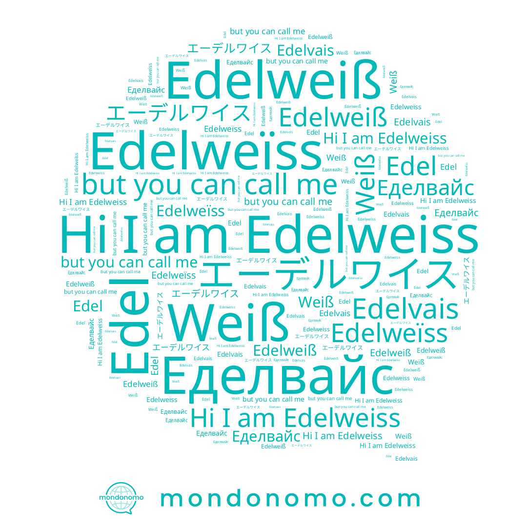 name エーデルワイス, name Edelweïss, name Weiß, name Edel, name Edelvais, name Edelweiss