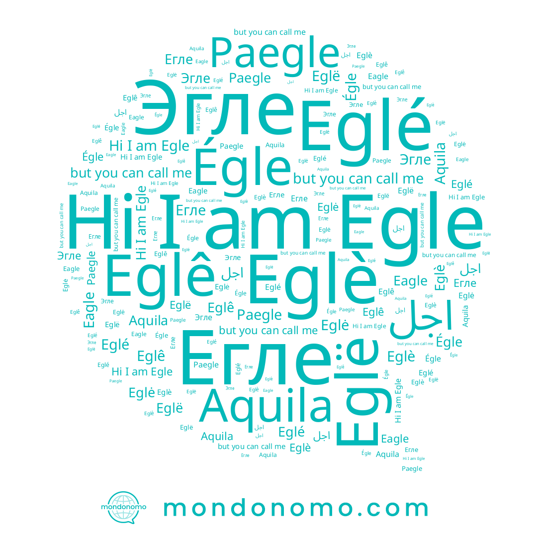 name Eglè, name Eglé, name Paegle, name Eglë, name Aquila, name Эгле, name Eglė, name Eglê, name Eagle, name Егле, name Égle, name Egle