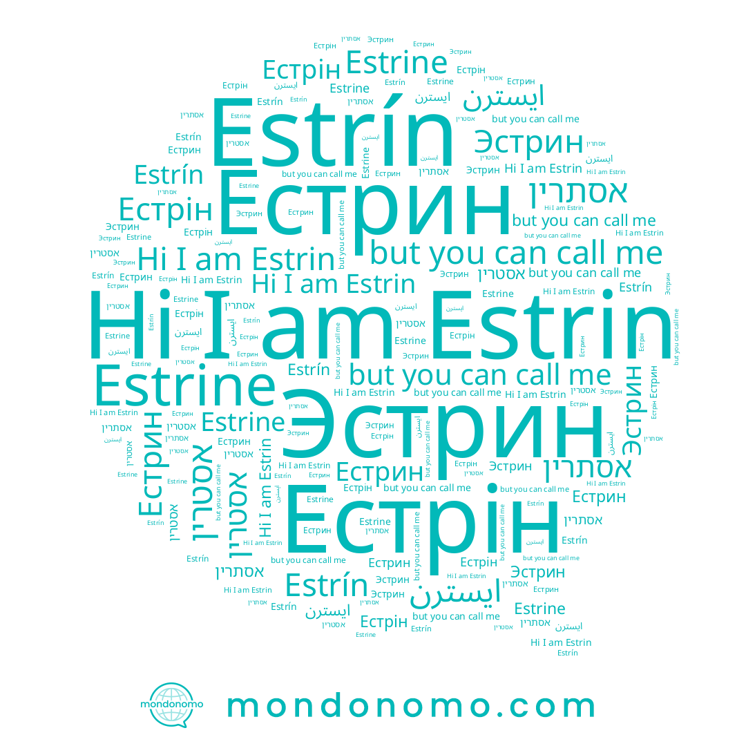 name Эстрин, name Estrin, name Estrine, name אסטרין, name Estrín, name Естрін, name Естрин, name אסתרין