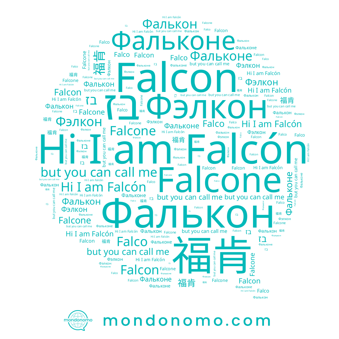 name Falcón, name Falcone, name Фалькон, name Фэлкон, name Falco, name 福肯, name Falcon, name Фальконе, name בז