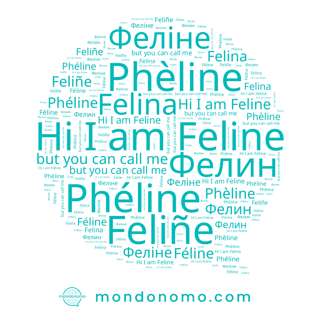 name Felina, name Фелин, name Phèline, name Phéline, name Feliñe, name Феліне, name Feline, name Féline