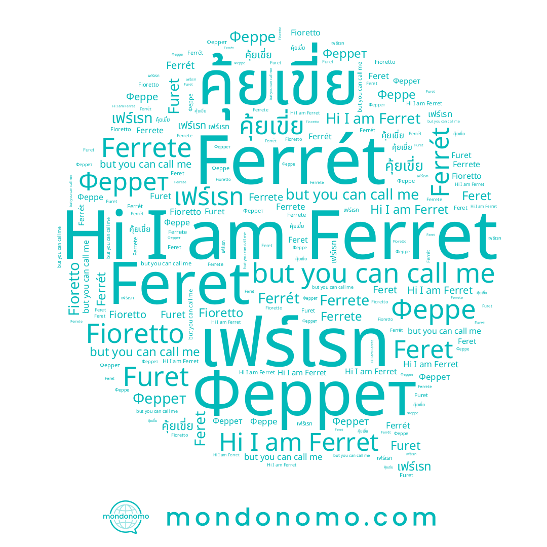 name Fioretto, name Феррет, name Furet, name คุ้ยเขี่ย, name Ферре, name เฟร์เรท, name Ferrét, name Ferrete, name Ferret, name Feret