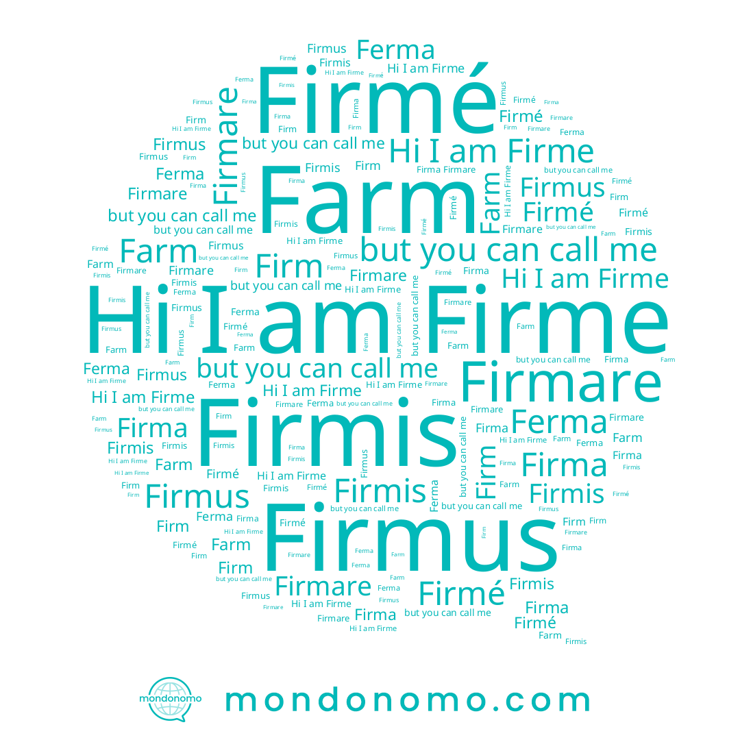 name Firma, name Firmus, name Firme, name Firmis, name Firmé, name Firmare, name Firm