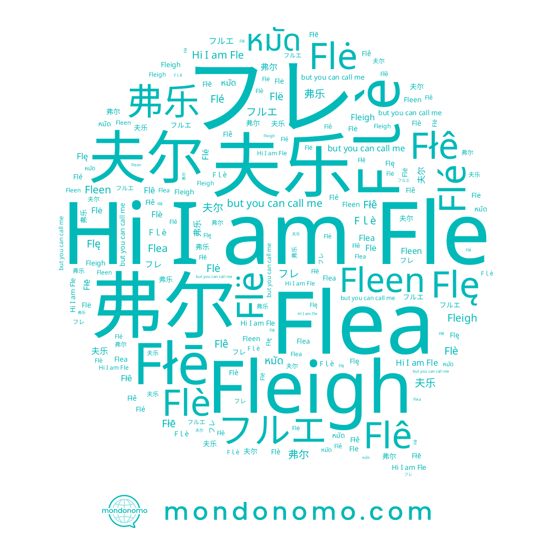 name หมัด, name Fleen, name フルエ, name 夫乐, name 弗乐, name 弗尔, name Flé, name フレ, name Fle, name Fleigh, name Fｌè, name Flè, name Flë, name Flę, name Flê, name 夫尔, name Flė