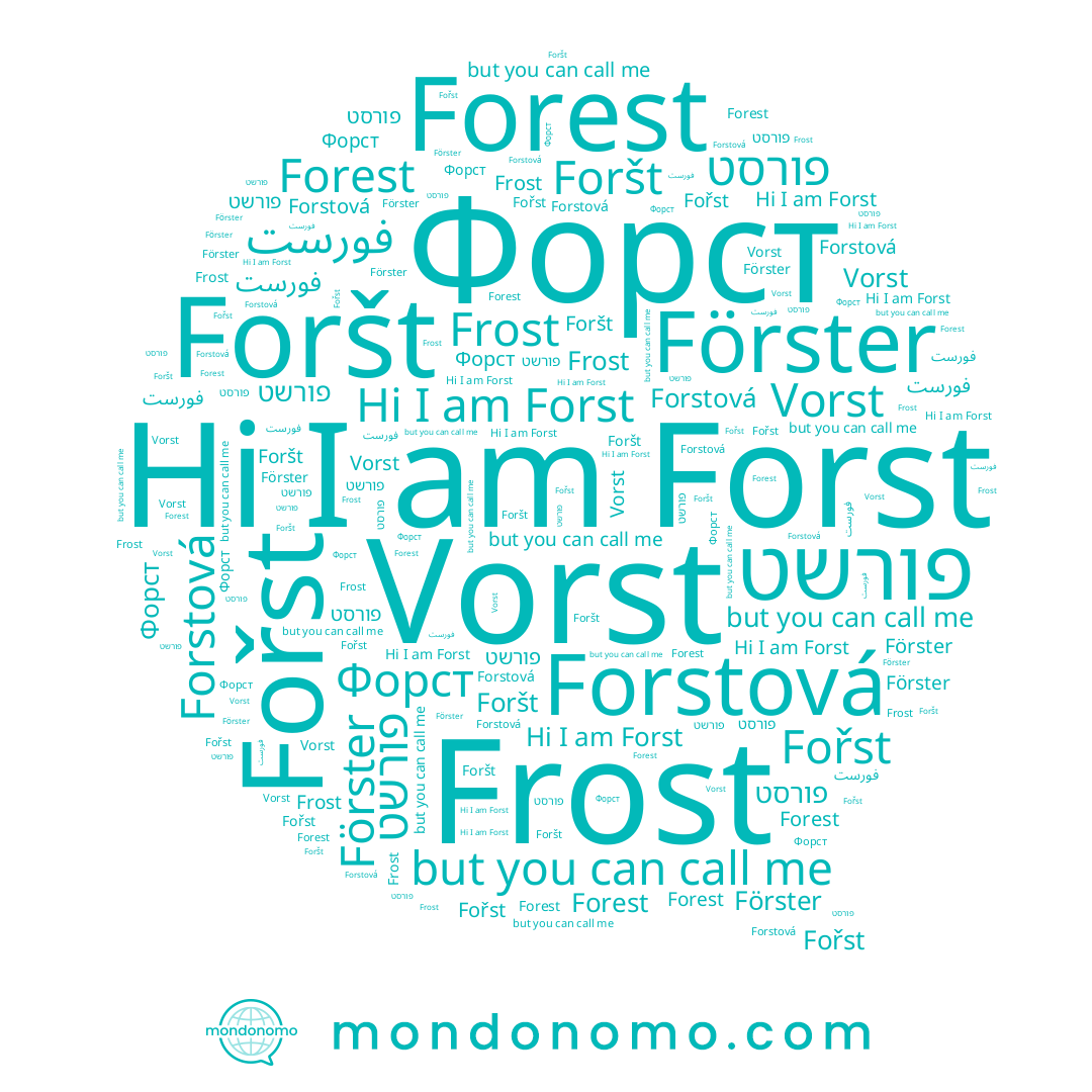 name Fořst, name Frost, name פורשט, name Forst, name Forest, name Vorst, name فورست, name Forstová, name Форст, name Förster, name פורסט, name Foršt