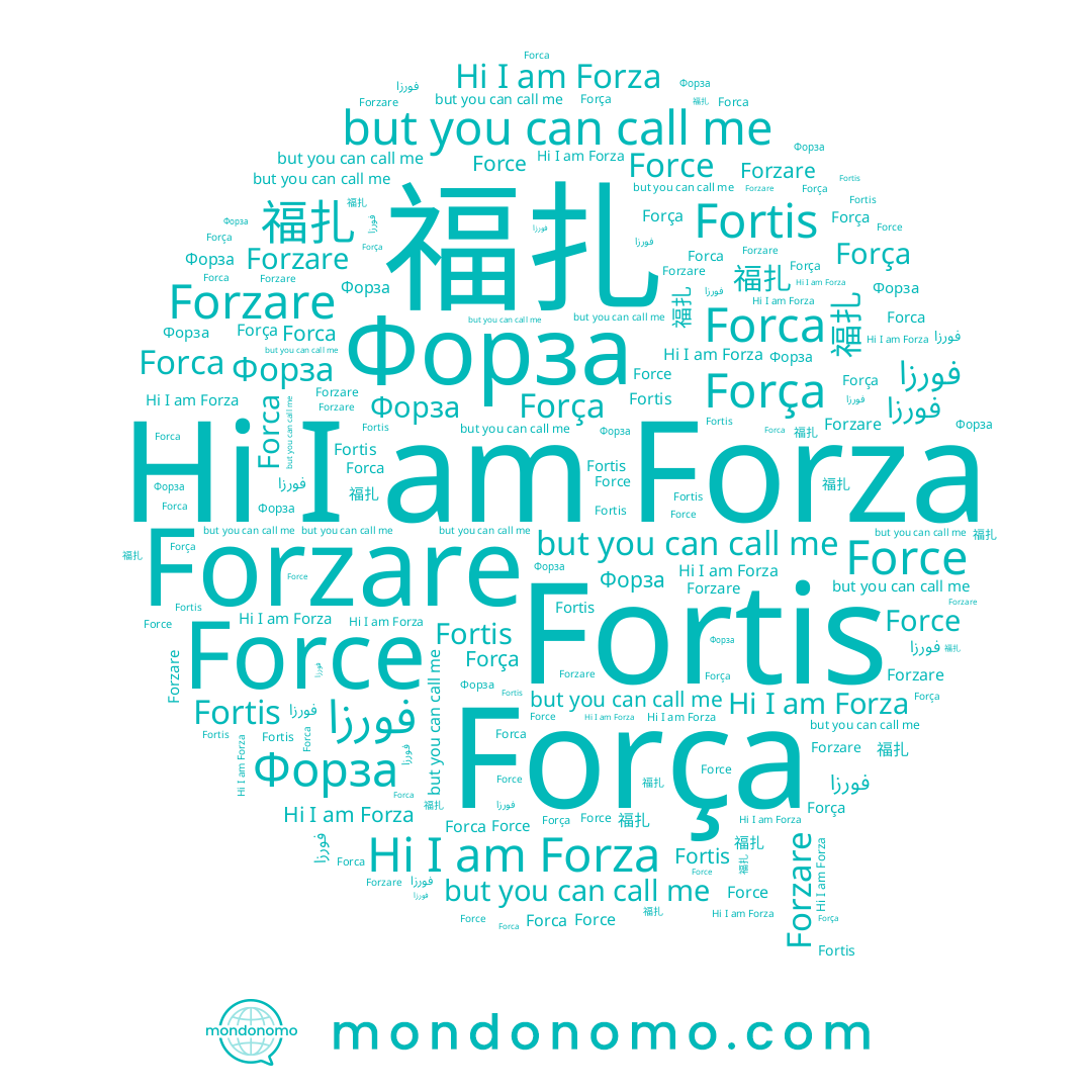 name Forza, name 福扎, name Fortis, name Forzare, name Force