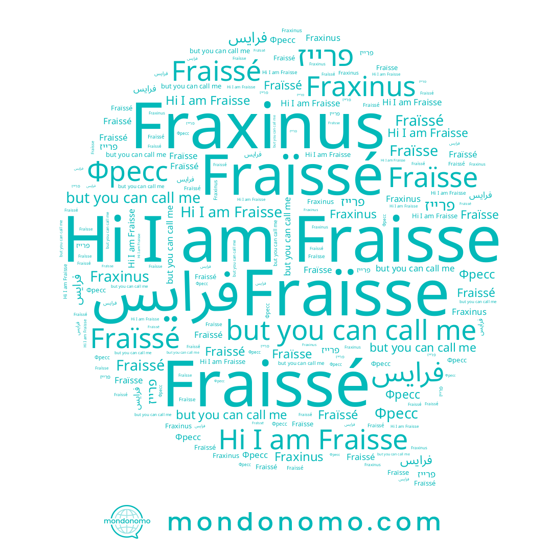 name Fraisse, name Fraïsse, name Фресс, name פרייז, name Fraïssé, name Fraissé