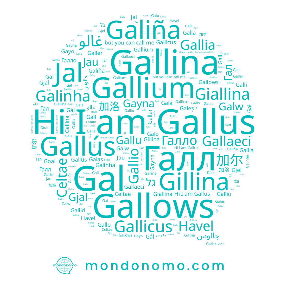 name Galler, name Galas, name Gallu, name Гал, name Galiña, name Gallicus, name Galo, name Gillina, name Gallid, name Gallar, name Giallina, name Галл, name جالوس, name 加洛, name Gál, name Gallús, name Gayo, name Gala, name Gallio, name Havel, name 加尔, name Gayna, name גל, name Gal, name Gâl, name Gall, name Jal, name Gał, name Galla, name Celtae, name Галло, name Galli, name Gallo, name Galeș, name غالو, name Gallia, name Gjal, name Galinha, name Gallaeci, name Jau, name Gallina, name Gallus