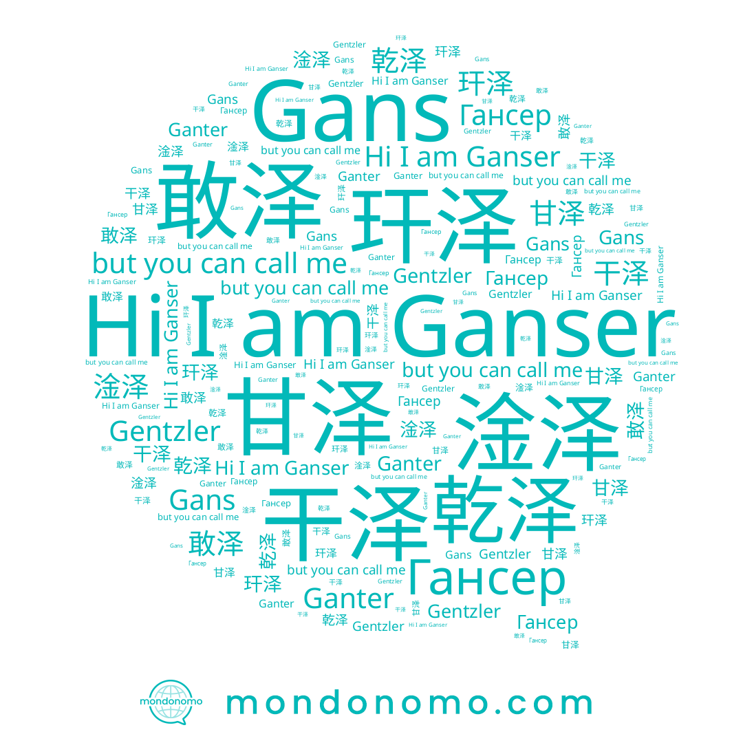 name Ganter, name Gans, name Gentzler, name 淦泽, name 乾泽, name 甘泽, name Гансер, name 玕泽, name 干泽, name Ganser, name 敢泽