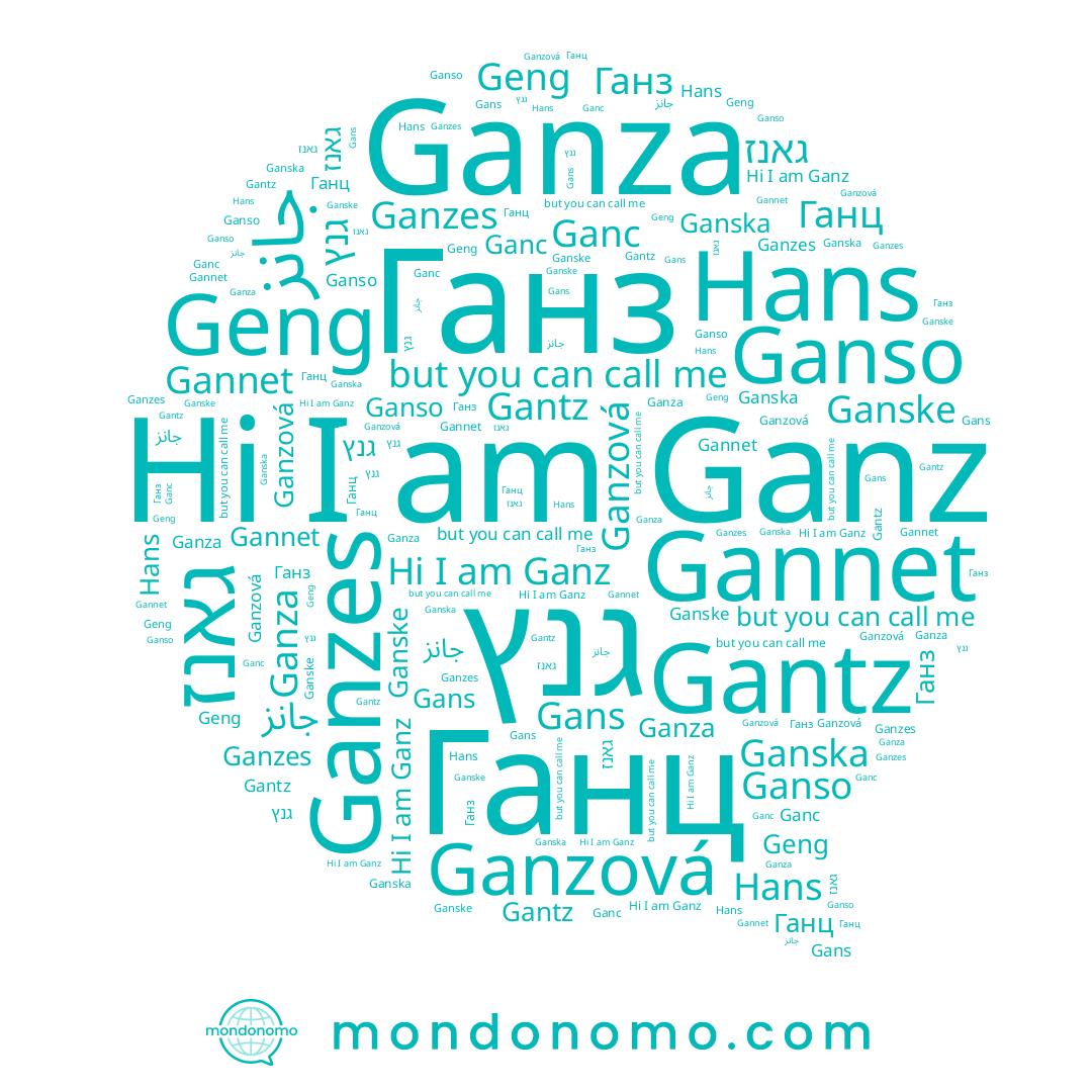 name גנץ, name Gans, name Ganz, name Geng, name Ganso, name Ganzes, name Ganska, name Gantz, name גאנז, name Ганц, name Hans, name Ганз, name Ganc, name Ganza, name Ganzová, name Ganske