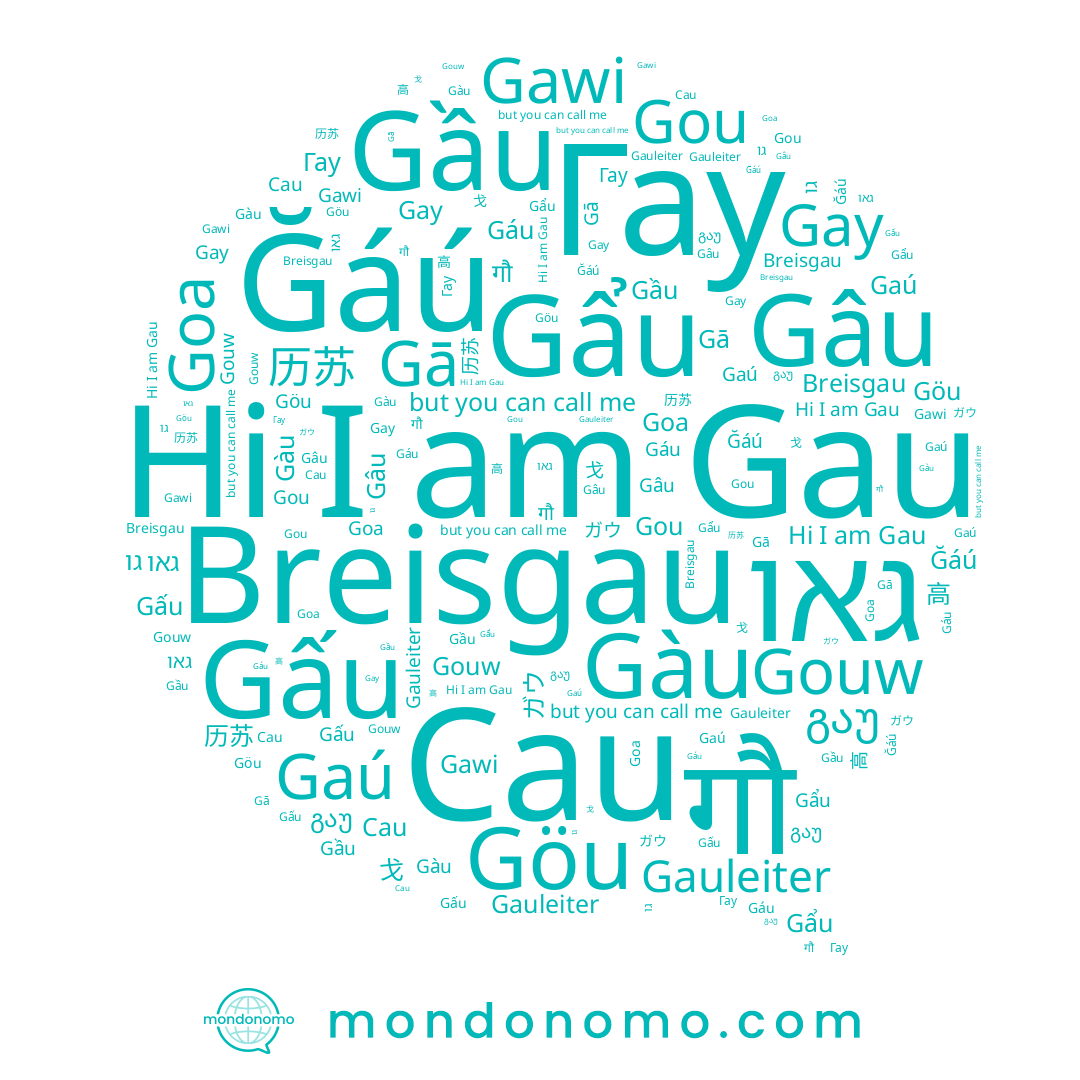 name Gàu, name Gauleiter, name 戈, name Gấu, name गौ, name Gẩu, name 历苏, name Gou, name Gaú, name Ğáú, name Gā, name Gawi, name Gau, name גאו, name გაუ, name 高, name Гау, name גו, name Gouw, name Gay, name Cau, name Goa, name Gâu, name Gáu, name Gầu, name Göu