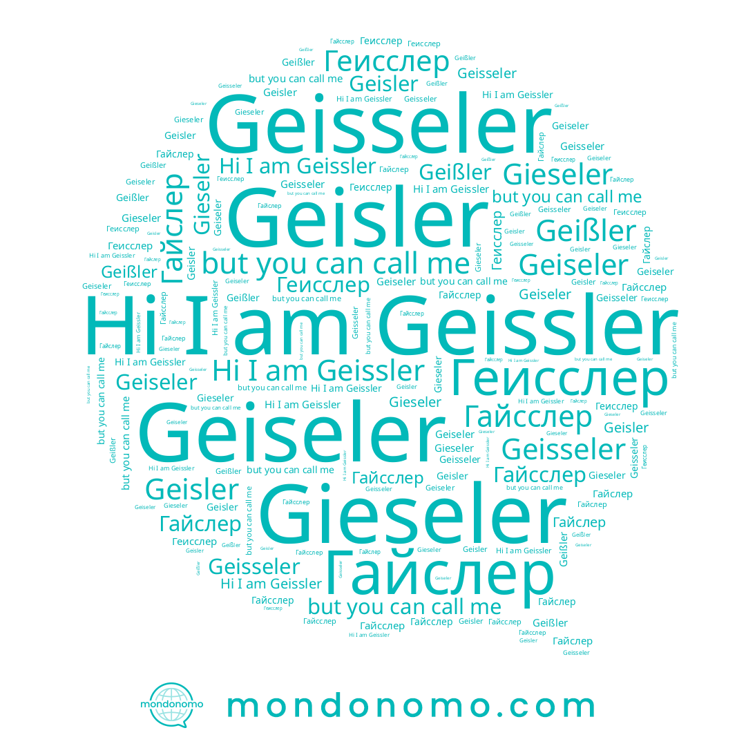 name Geisler, name Gieseler, name Гайслер, name Geiseler, name Гайсслер, name Geißler, name Геисслер, name Geisseler, name Geissler