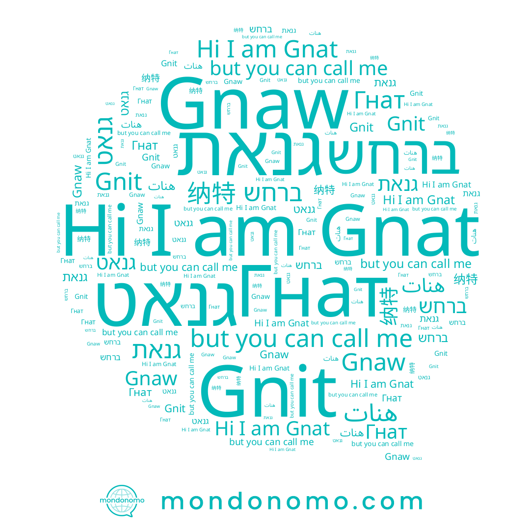 name Гнат, name ברחש, name 纳特, name גנאת, name Gnaw, name Gnat, name גנאט