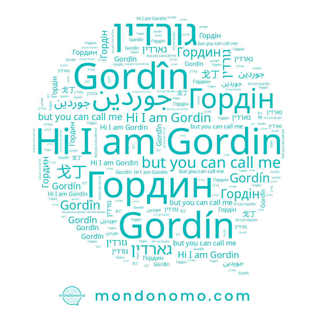 name גורדין, name Gordin, name Gordín, name Gordîn, name 戈丁, name גארדין, name Гордин, name Гордін