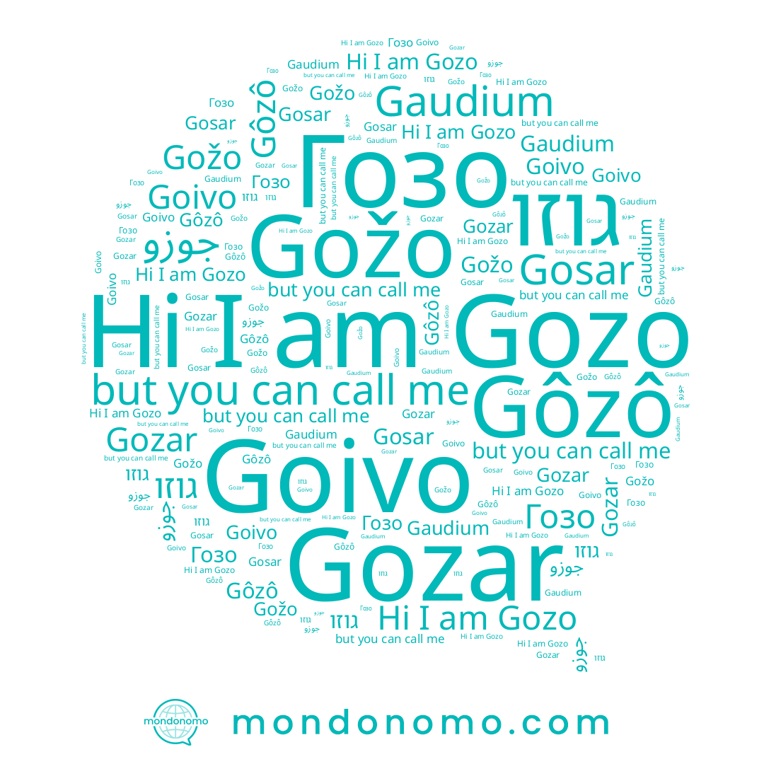 name Гозо, name גוזו, name Gosar, name Gozo, name Gožo, name Gozar, name Gôzô, name Goivo