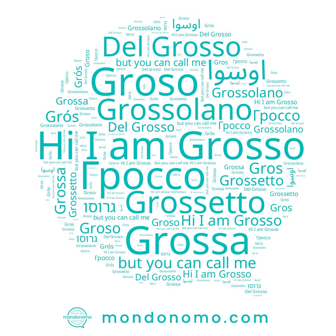 name Gros, name Grossolano, name Groso, name Grosso, name Grós, name גרוסו, name Grossetto, name Гроссо