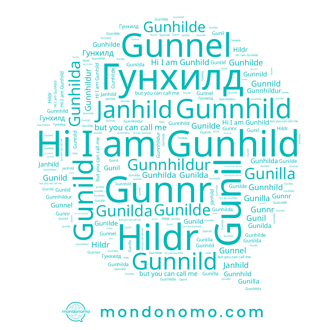 name Gunhilda, name Gunilda, name Gunilde, name Gunild, name Gunnel, name Gunilla, name Gunnhildur, name Gunnild, name Gunnr, name Janhild, name Гунхилд, name Gunil, name Gunhilde, name Gunhild, name Hildr, name Gunnhild