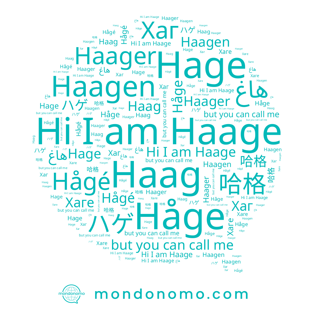 name Haager, name Hågé, name Haag, name Hage, name هاغ, name ハゲ, name Håge, name Хаг, name Haage, name 哈格, name Хаге, name Haagen