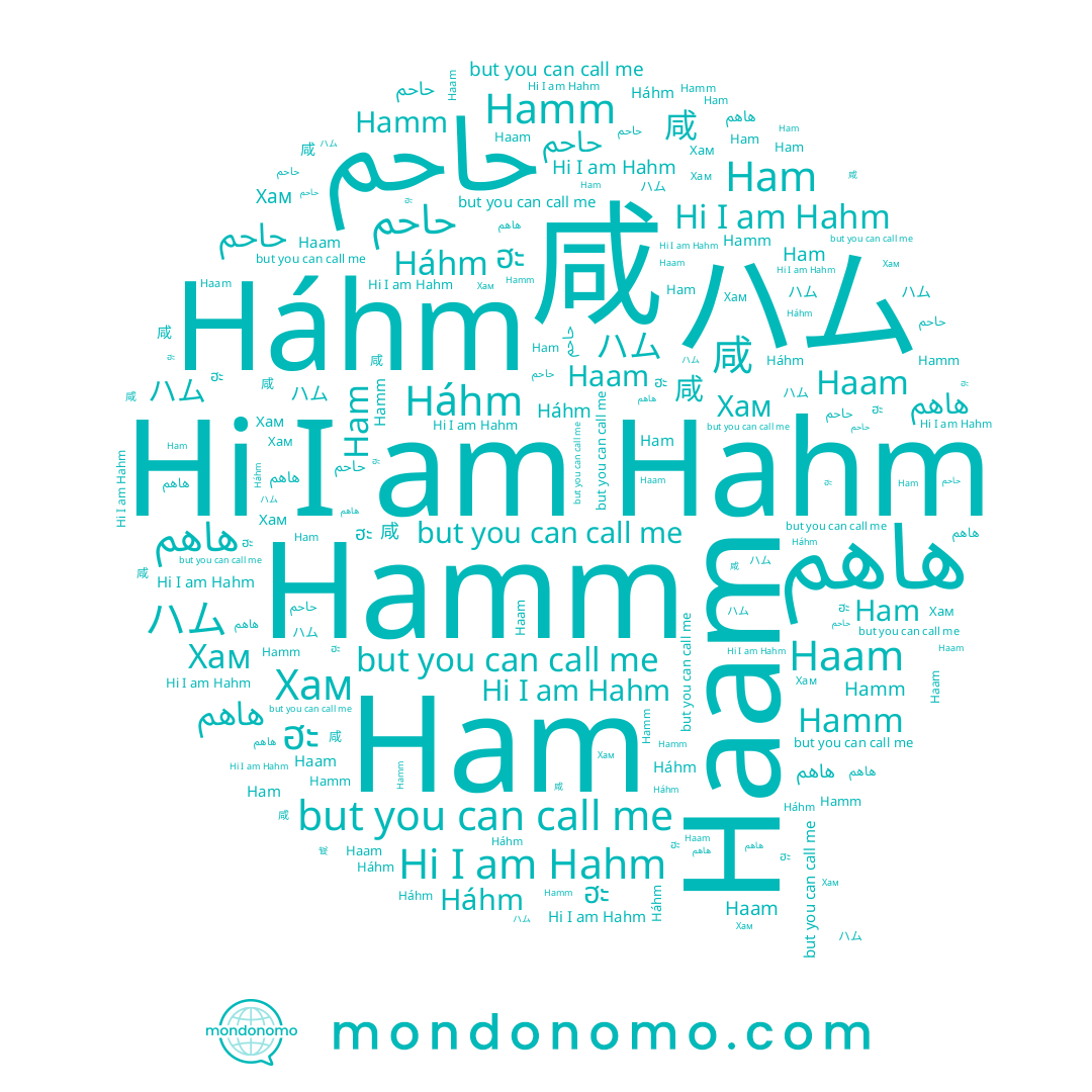 name Hahm, name Ham, name Хам, name Hamm, name ハム, name 咸, name 함, name ฮะ, name هاهم, name Haam, name Háhm, name حاحم