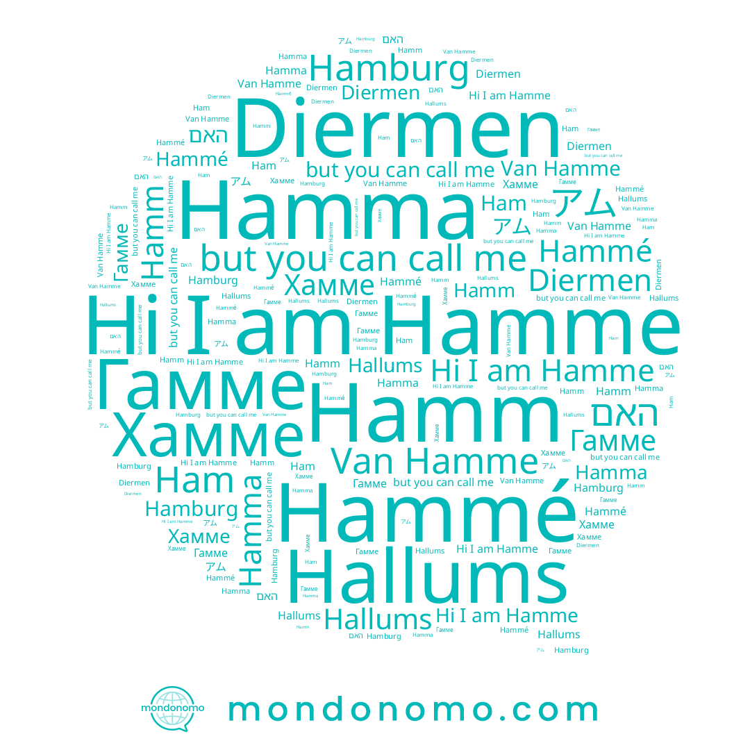 name Гамме, name Hamburg, name Ham, name Hamm, name Hallums, name Хамме, name Diermen, name Hammé, name Hamme, name アム, name Hamma, name האם
