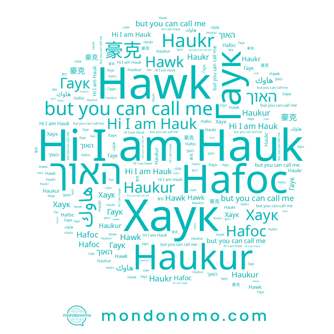 name Haukur, name Hawk, name 豪克, name هاوك, name Hauk, name Haukr, name Гаук, name Хаук, name האוך