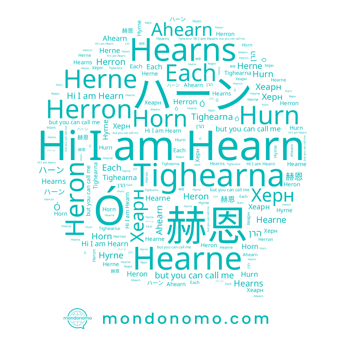 name 赫恩, name Tighearna, name Herron, name Херн, name Hurn, name Hearne, name Horn, name Hearn, name Ó, name Hearns, name הרן, name Хеарн, name Heron, name Ahearn, name Hyrne, name Herne