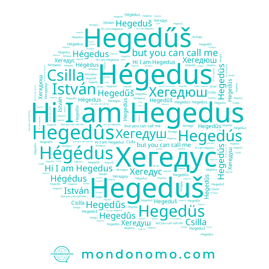 name Hegedús, name Hégédus, name Hegedűš, name Csilla, name Hegeduš, name Hégedus, name Hegedus, name István, name Хегедус, name Hegedűs, name Hegedüs, name Hegedûs