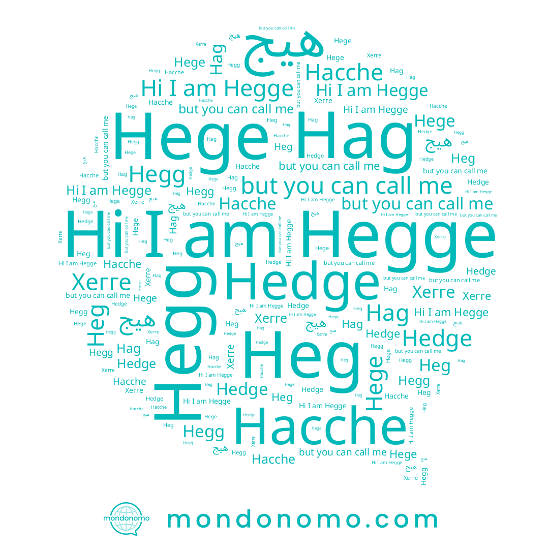 name Hege, name Hacche, name Hedge, name Хегге, name Hegg, name Hegge, name Heg, name Hag