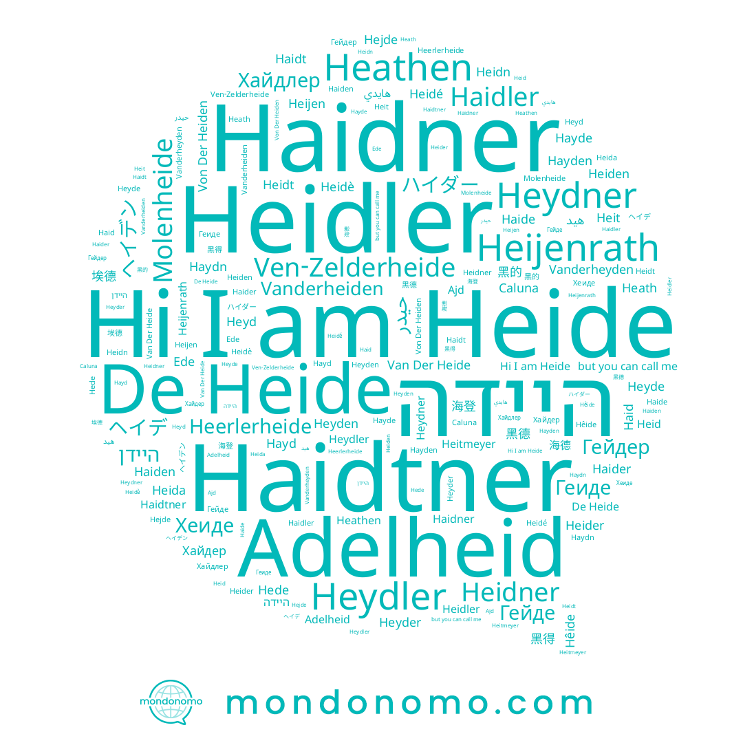 name Haidt, name Heidé, name Haidner, name Хайдлер, name Heidè, name היידה, name Heijenrath, name Хайдер, name Heit, name Haid, name Von Der Heiden, name Haidler, name Heyden, name Ven-Zelderheide, name Hayd, name Van Der Heide, name Adelheid, name Хеиде, name Heidn, name Heidler, name Hêide, name Heide, name Геиде, name Haydn, name Heyder, name Hayde, name 海德, name Haider, name Heider, name Heitmeyer, name Heidt, name Heid, name Ede, name Hayden, name Heida, name Heyd, name Heidner, name Heathen, name Vanderheiden, name Гейде, name Heiden, name Caluna, name Vanderheyden, name Haiden, name Heydner, name Hede, name Гейдер, name Heath, name Heijen, name Haidtner, name Heydler, name Heyde, name Haide, name Hejde
