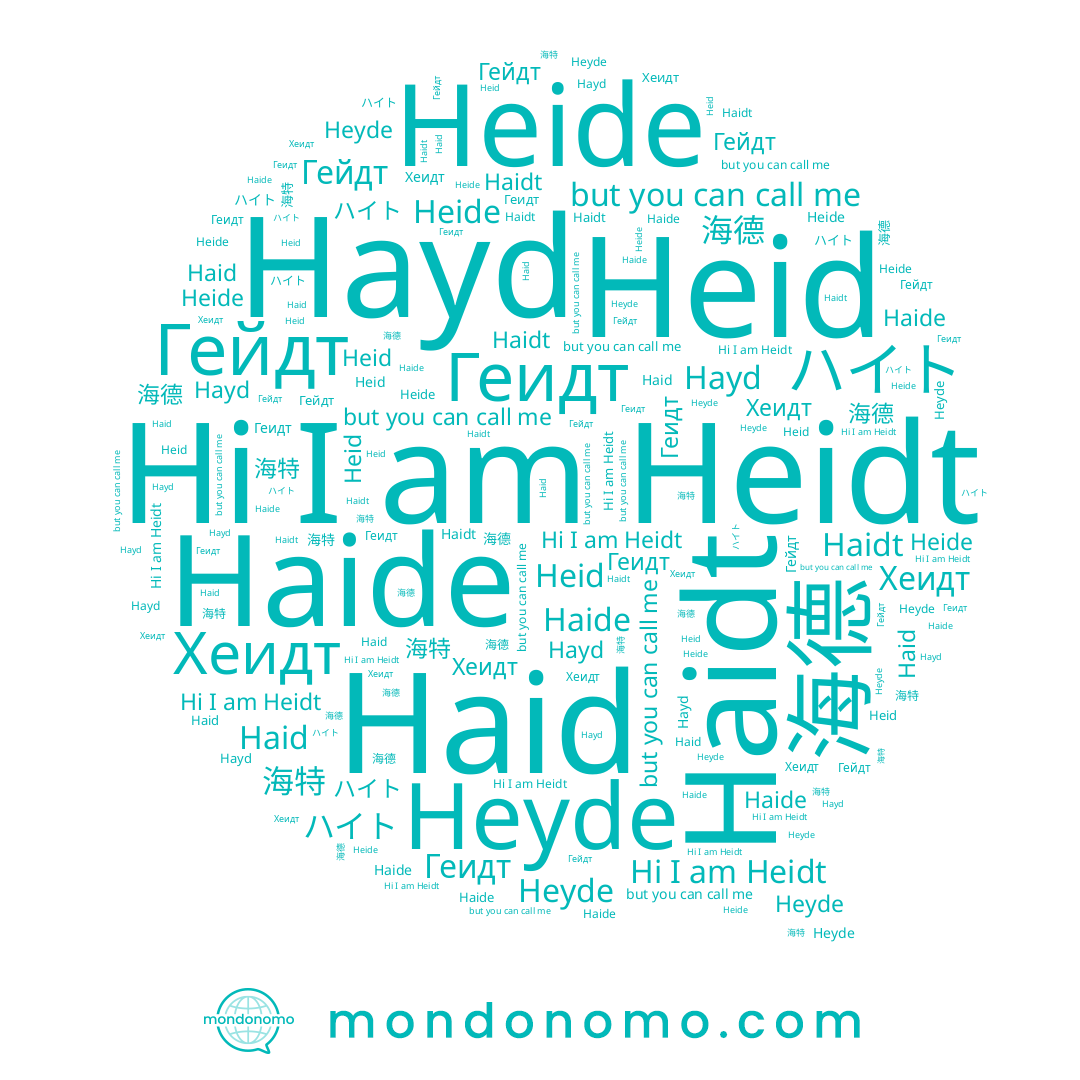 name Hayd, name Haidt, name 海特, name Heidt, name 海德, name Heid, name Haid, name Хеидт, name Гейдт, name Heide, name Heyde, name Haide, name Геидт