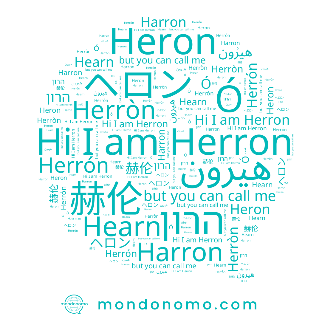 name Herrón, name ヘロン, name Herron, name Harron, name Hearn, name Ó, name הרון, name 赫伦, name Herròn, name هيرون, name Heron