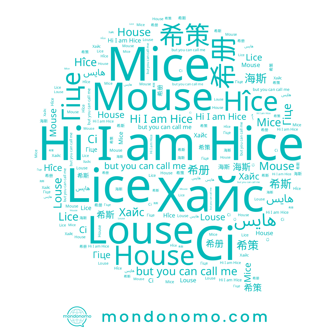 name 海斯, name Hice, name Hîce, name Mouse, name House, name Гіце, name 希策, name Ci, name Хайс, name Louse, name 希斯, name Lice, name 希册