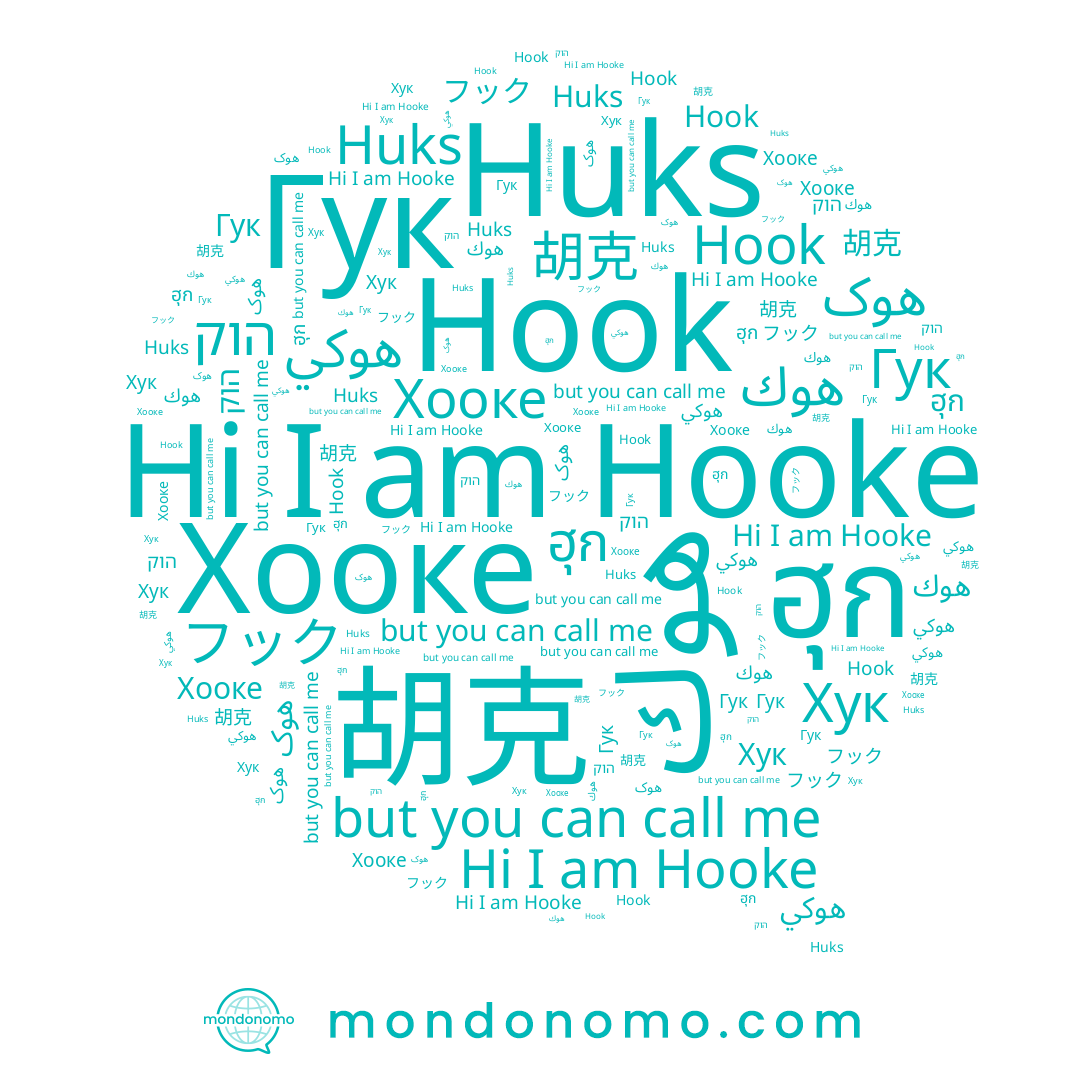name Гук, name Huks, name هوك, name Hook, name Хук, name 胡克, name Hooke, name הוק, name هوكي, name هوک, name フック, name Хооке