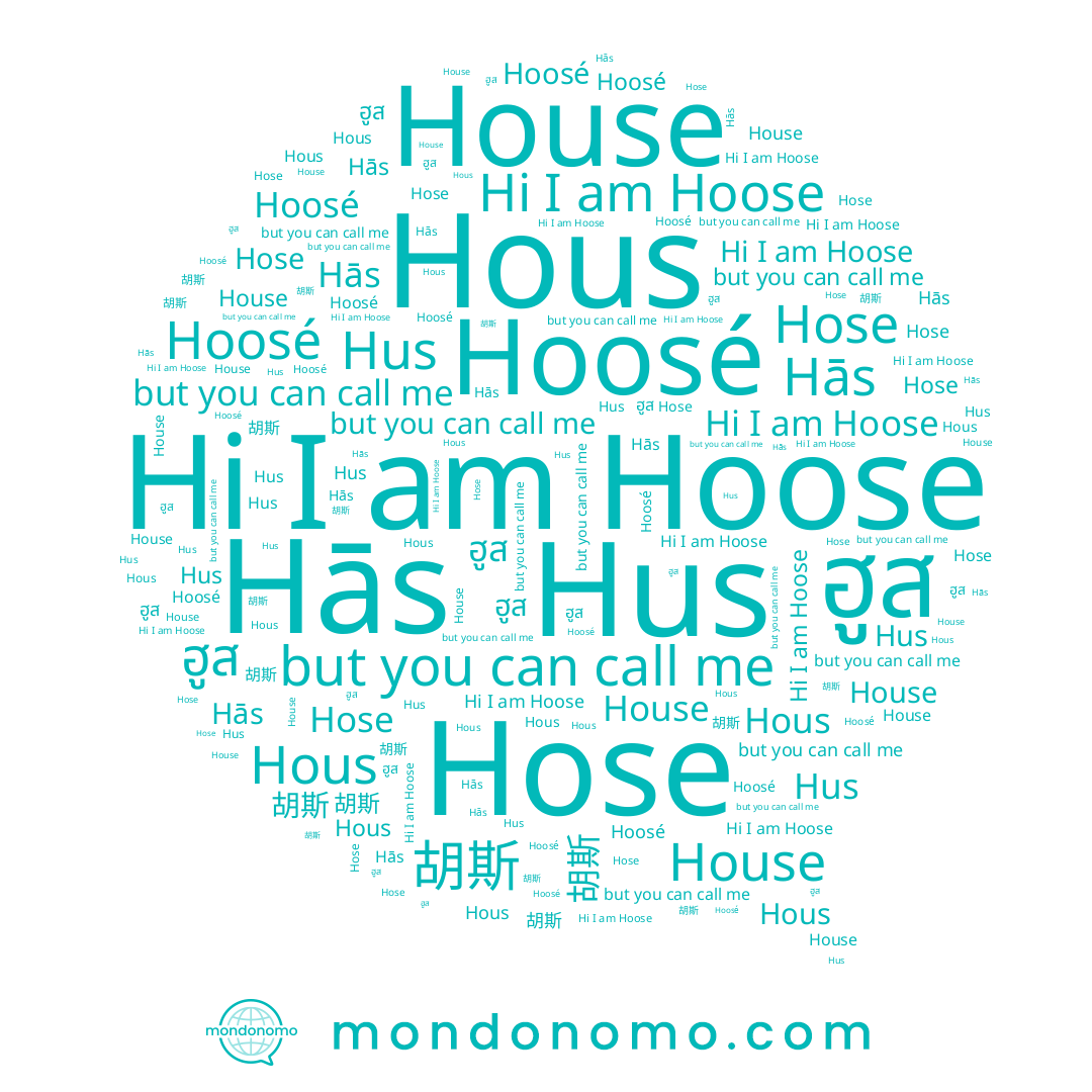 name Hoose, name House, name Hus, name Hās, name Hoosé, name Hose, name 胡斯, name ฮูส