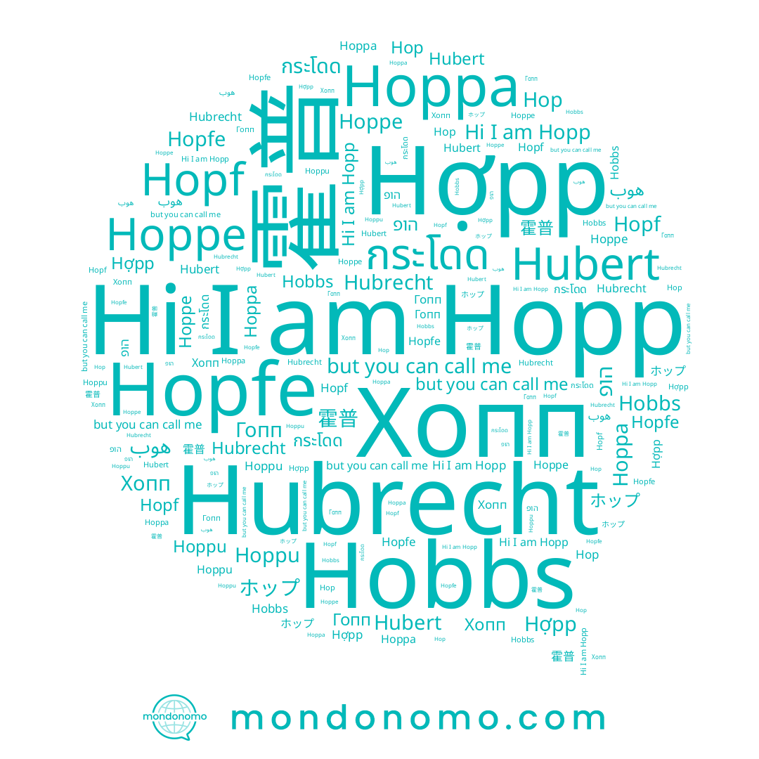 name Hoppe, name Hoppu, name הופ, name Hop, name Hopp, name Hoppa, name Гопп, name Hopfe, name 霍普, name กระโดด, name Hubert, name ホップ, name Hợpp, name هوب, name Hobbs, name Hubrecht, name Hopf, name Хопп
