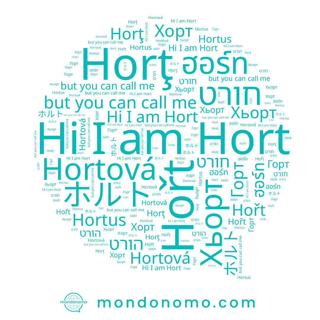 name Hořt, name ホルト, name Хьорт, name Hortová, name Хорт, name Горт, name הורט, name חורט, name Hort, name Horţ, name ฮอร์ท