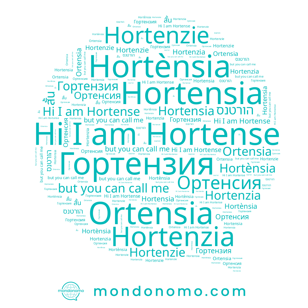 name Hortensia, name Гортензия, name Hortense, name Ortensia, name Hortènsia, name Hortenzie, name הורטנס, name Hortenzia, name Ортенсия