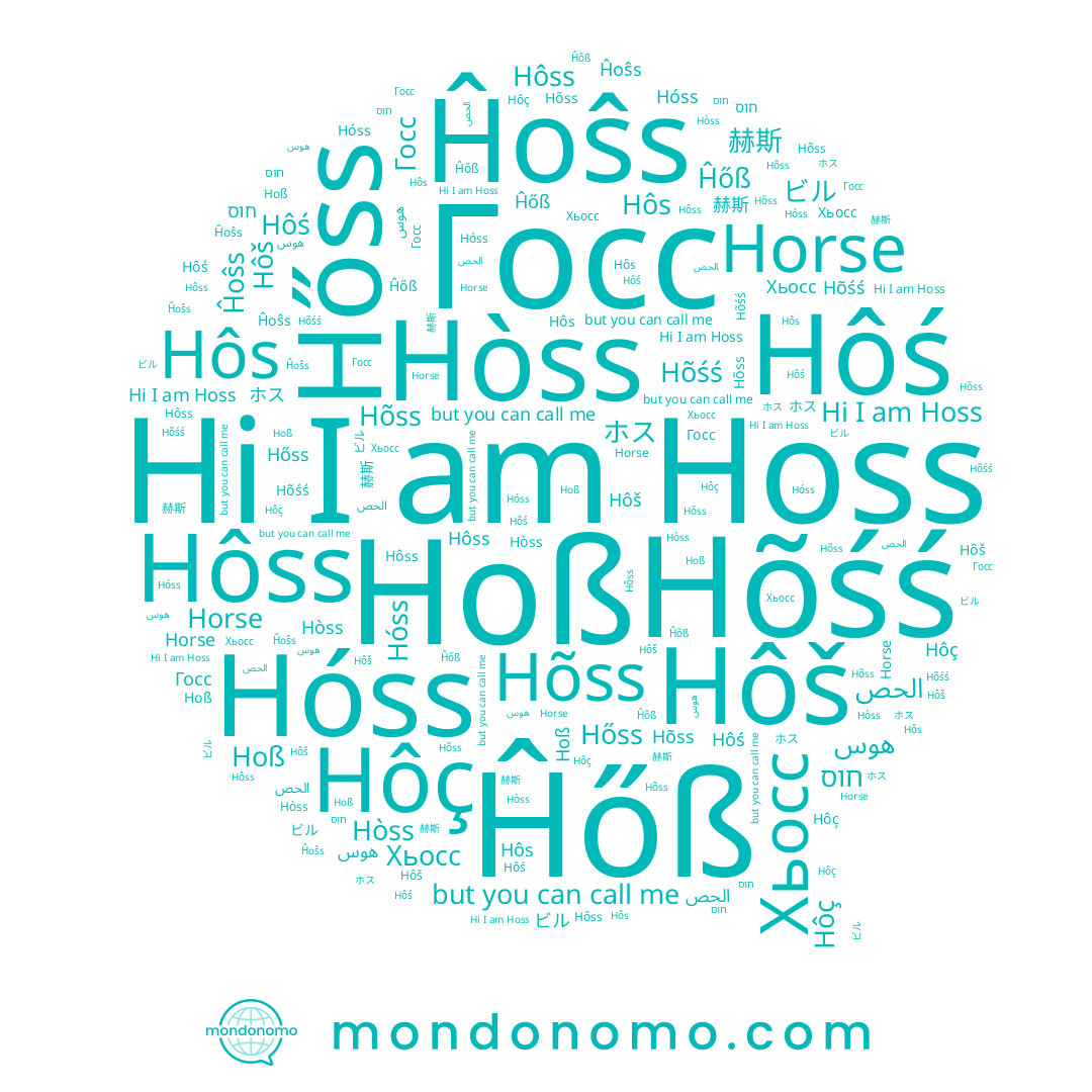 name Hoss, name Horse, name Ĥoŝs, name Hoß, name Hôš, name Hóss, name Ĥőß, name الحص, name Hõss, name Hôs, name Hõśś, name Hôç, name Hôss, name ビル, name חוס, name Хьосс, name هوس, name Hôś, name Hőss, name Госс, name 赫斯, name Hòss