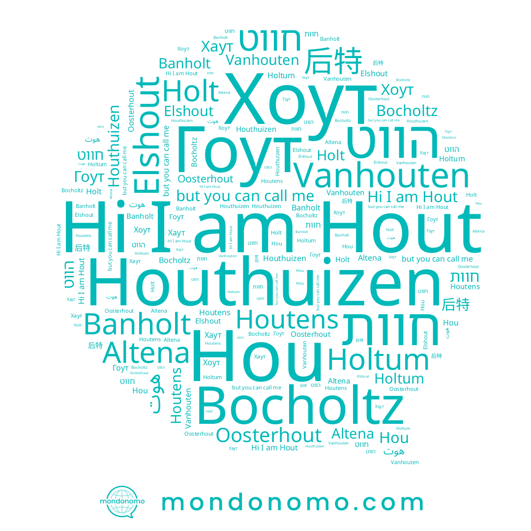 name Houthuizen, name Vanhouten, name חווט, name Altena, name Houtens, name 后特, name Гоут, name Hout, name הווט, name Elshout, name Holt, name Хоут, name Oosterhout, name Banholt, name Holtum, name Hou