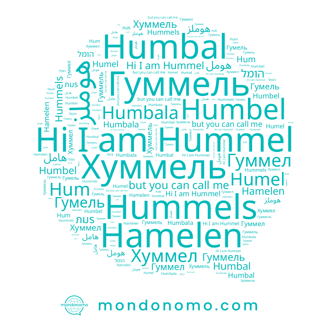 name Hummel, name הומל, name Humbal, name Hum, name Гуммель, name هومل, name Humel, name Гуммел, name ภมร, name Humbala, name Hummels, name Хуммел, name Humbel, name Хуммель, name Hamelen, name هامل, name هوملز