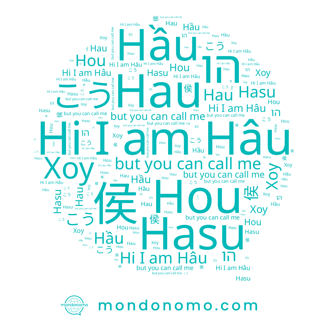 name Hau, name Hầu, name 侯, name Хоу, name Hâu, name こう, name הו, name Hou, name Hasu