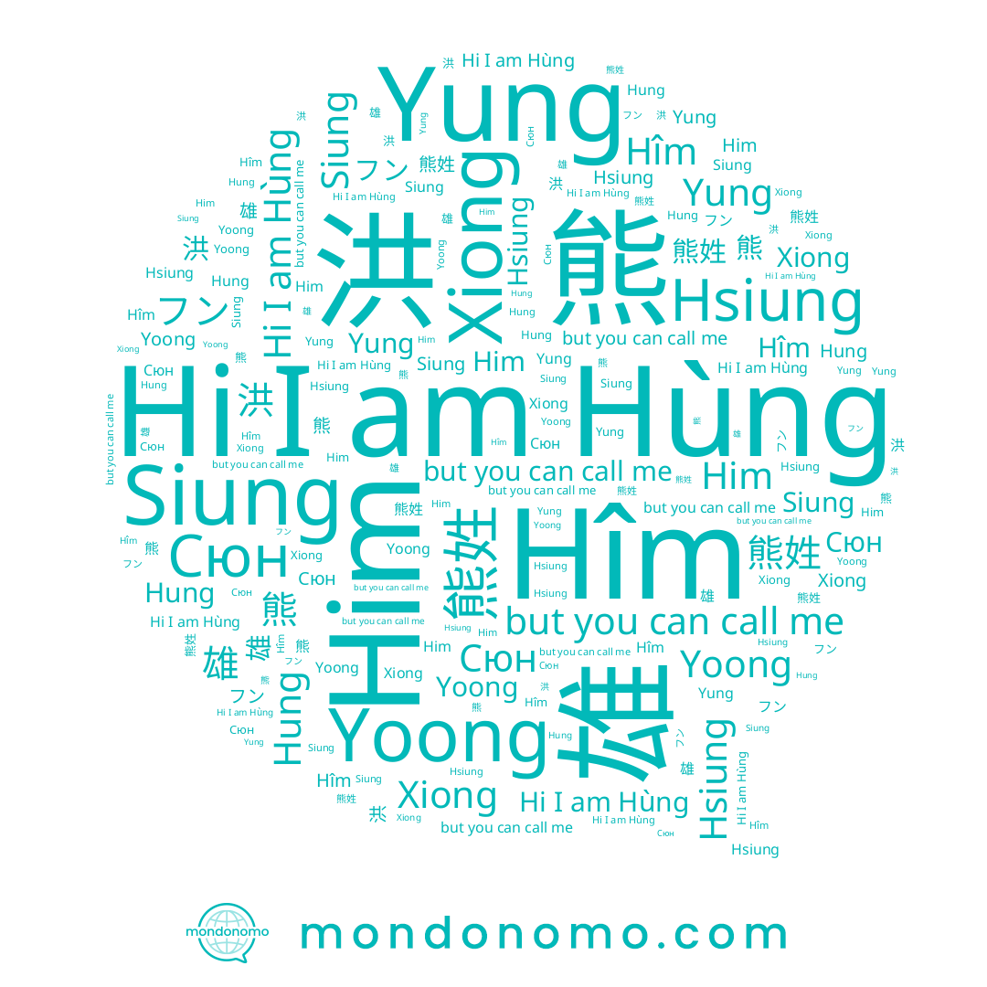 name Him, name Hîm, name 洪, name 雄, name 熊, name Hung, name Hùng, name Hsiung, name 웅, name フン, name 熊姓, name Xiong, name Yung, name Siung, name Yoong, name Сюн